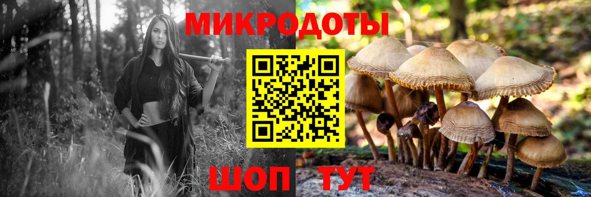 Кашира  Галлюциногенные грибы мухоморы  Вход с VPN 