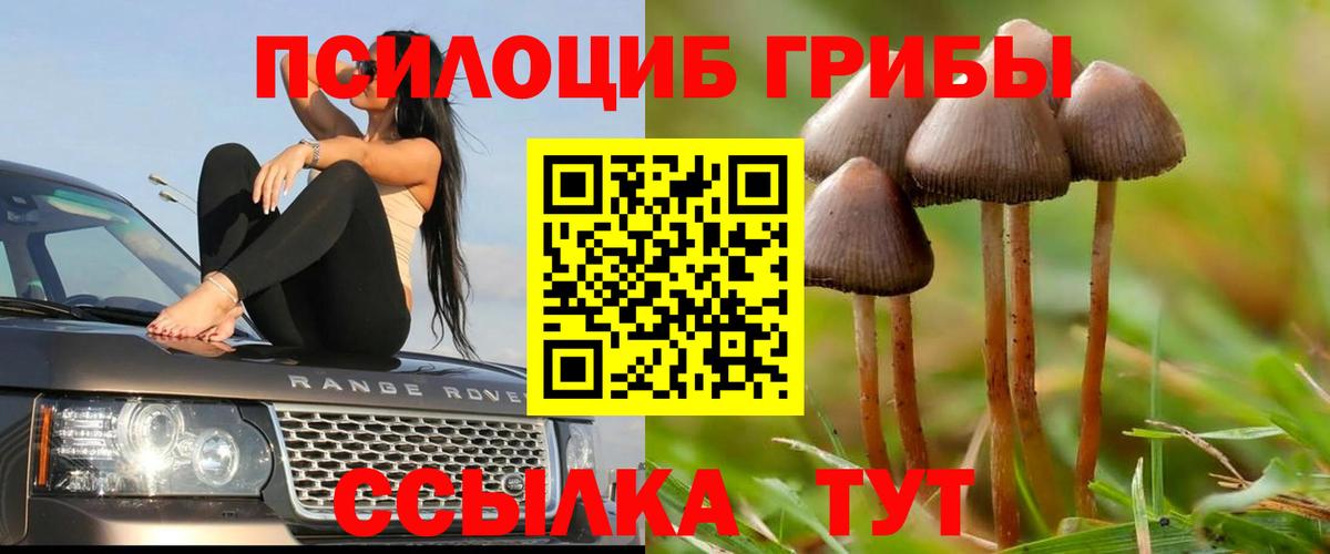 Псилоцибиновые грибы мухоморы Кашира